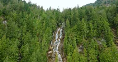 aéreo ver de hermosa cascada nupcial velo, británico Columbia, Canadá. video