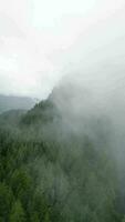 Antenne Aussicht von schön Berg Landschaft. Nebel steigt an Über das Berg Pisten video