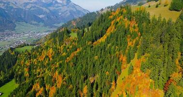 Aerial view of the beautiful autumn Swiss nature, Switzerland video