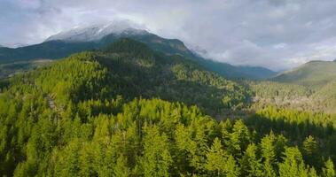 Aerial view of Canadian mountain landscape near the Harrison Lake at sunset video