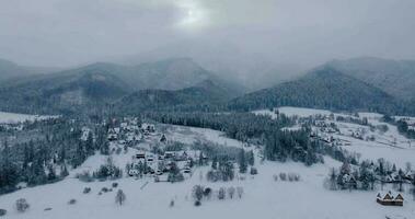 vlucht over- een fantastisch met sneeuw bedekt berg landschap. Zakopane, Polen video
