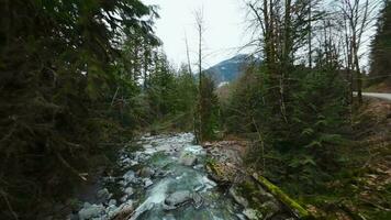 Flight over a mountain river. Shot on FPV drone. British Columbia, Canada. video