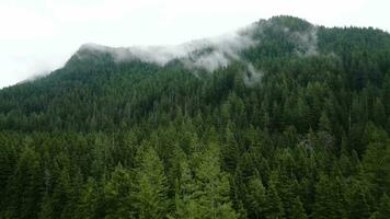 Aerial view of beautiful mountain landscape. Fog rises over the mountain slopes video