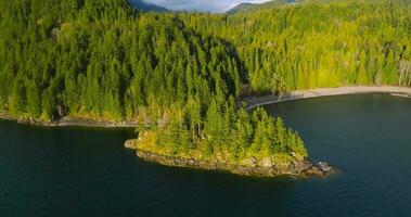 aéreo ver de Harrison lago y bosque con montaña rango en antecedentes video