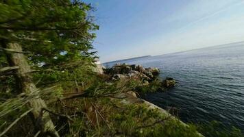 maniable vite vol le long de côtier ligne dans phare parc Ouest Vancouver video