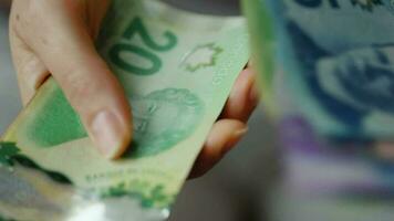 femmina mani conteggio canadese dollaro fatture, avvicinamento. video