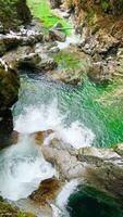 klar Berg Fluss fließt unter Steine umgeben durch wild Natur video