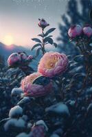 a bunch of pink flowers sitting on top of a snow covered field. . photo