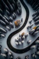 winding road surrounded by snow covered trees. . photo