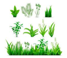 Realistic spring grass set collection vector