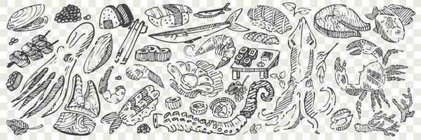 Hand drawn sea food doodle set vector