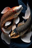 two koi fish swimming in a pond of water. . photo