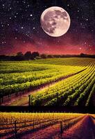 a picture taken from distance of vineyard with full moon in the background. . photo