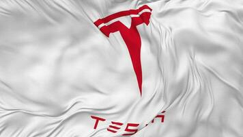 Tesla inc bandeira desatado looping fundo, em loop colisão textura pano acenando lento movimento, 3d Renderização video