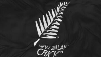 ny zealand cricket, nzc flagga sömlös looping bakgrund, looped stöta textur trasa vinka långsam rörelse, 3d tolkning video