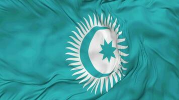 Organization of Turkic States, OTS Flag Seamless Looping Background, Looped Bump Texture Cloth Waving Slow Motion, 3D Rendering video