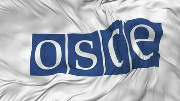 Organization for Security and Co operation in Europe, OSCE Flag Seamless Looping Background, Looped Bump Texture Cloth Waving Slow Motion, 3D Rendering video