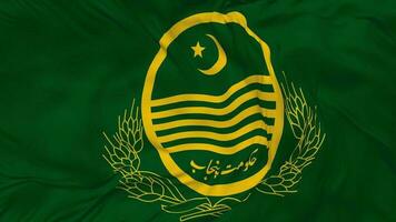 gobierno de Punjab, Pakistán bandera sin costura bucle fondo, serpenteado bache textura paño ondulación lento movimiento, 3d representación video