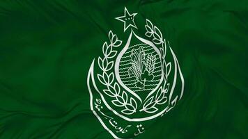 Government of Sindh Flag Seamless Looping Background, Looped Bump Texture Cloth Waving Slow Motion, 3D Rendering video