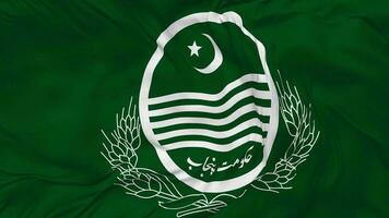 Government of Punjab, Pakistan Flag Seamless Looping Background, Looped Bump Texture Cloth Waving Slow Motion, 3D Rendering video