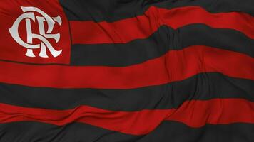 Clube de Regatten tun Flamengo Flagge nahtlos Schleifen Hintergrund, geloopt stoßen Textur Stoff winken schleppend Bewegung, 3d Rendern video