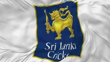 Sri Lanka Cricket, SLC Flag Seamless Looping Background, Looped Bump Texture Cloth Waving Slow Motion, 3D Rendering video