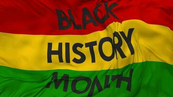 zwart geschiedenis maand vlag naadloos looping achtergrond, lusvormige buil structuur kleding golvend langzaam beweging, 3d renderen video