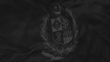 estado emblema de Pakistán, Saco de brazos bandera sin costura bucle fondo, serpenteado bache textura paño ondulación lento movimiento, 3d representación video