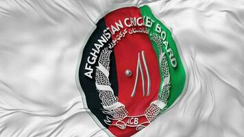 Afghanistan Cricket Board, ACB Flag Seamless Looping Background, Looped Bump Texture Cloth Waving Slow Motion, 3D Rendering video