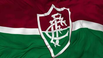 Fluminense Football Club Flag Seamless Looping Background, Looped Bump Texture Cloth Waving Slow Motion, 3D Rendering video