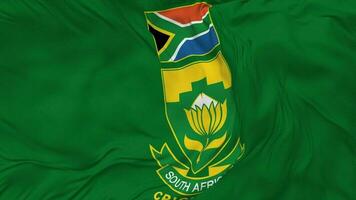 criquet Sud Afrique, csa drapeau sans couture boucle arrière-plan, en boucle bosse texture tissu agitant lent mouvement, 3d le rendu video