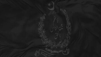 suprême tribunal de Pakistan drapeau sans couture boucle arrière-plan, en boucle bosse texture tissu agitant lent mouvement, 3d le rendu video