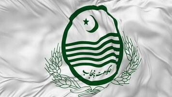 Government of Punjab, Pakistan Flag Seamless Looping Background, Looped Bump Texture Cloth Waving Slow Motion, 3D Rendering video