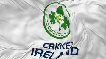 cricket Irland, ci flagga sömlös looping bakgrund, looped stöta textur trasa vinka långsam rörelse, 3d tolkning video