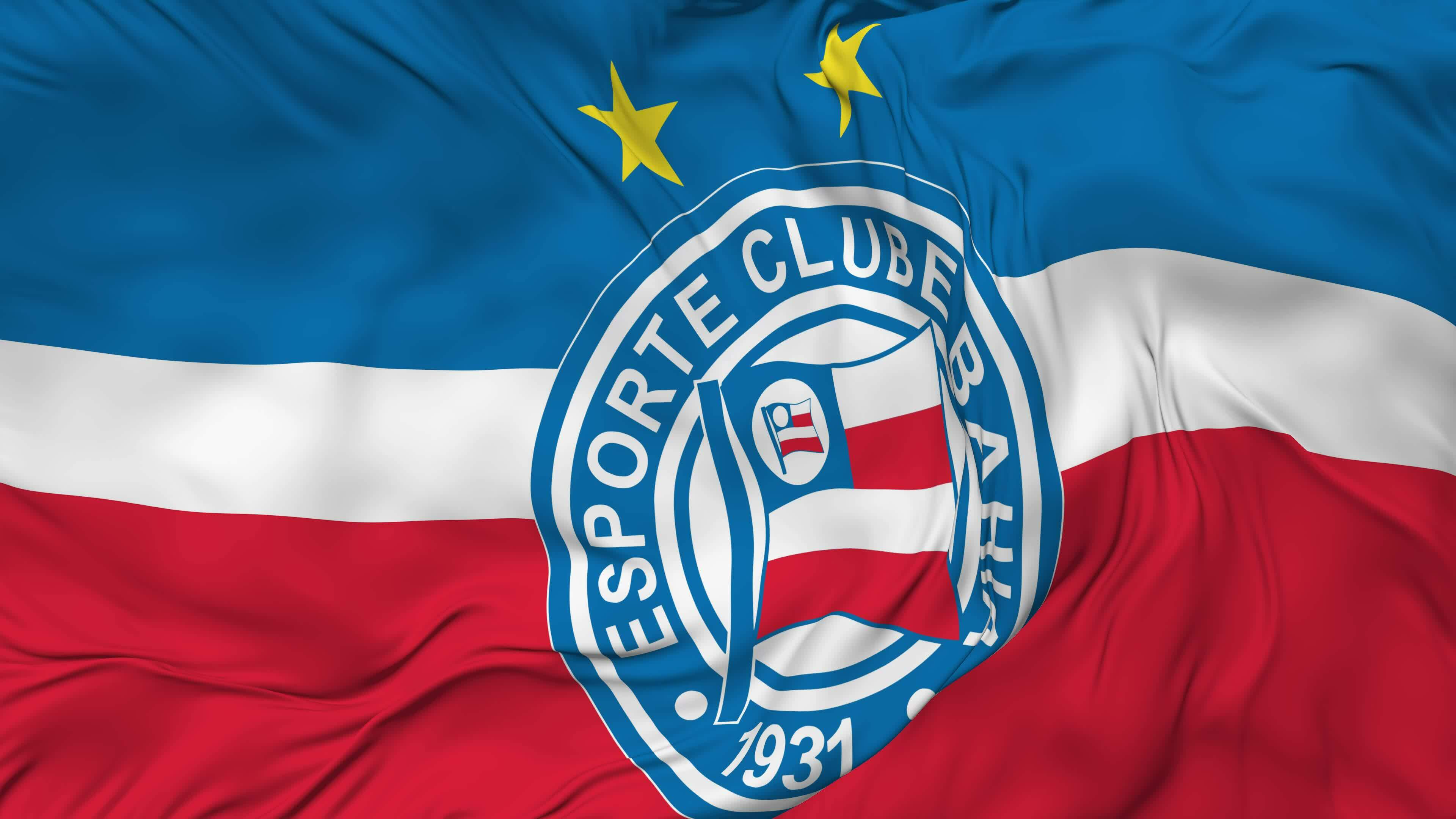Esporte Clube Bahia Flag Seamless Looping Background, Looped Bump