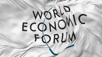 wereld economisch forum, wef vlag naadloos looping achtergrond, lusvormige buil structuur kleding golvend langzaam beweging, 3d renderen video