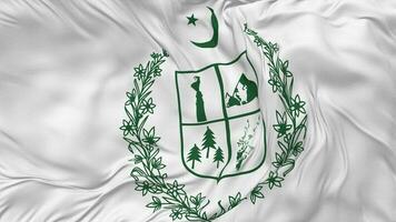 Government of Gilgit Baltistan Flag Seamless Looping Background, Looped Bump Texture Cloth Waving Slow Motion, 3D Rendering video