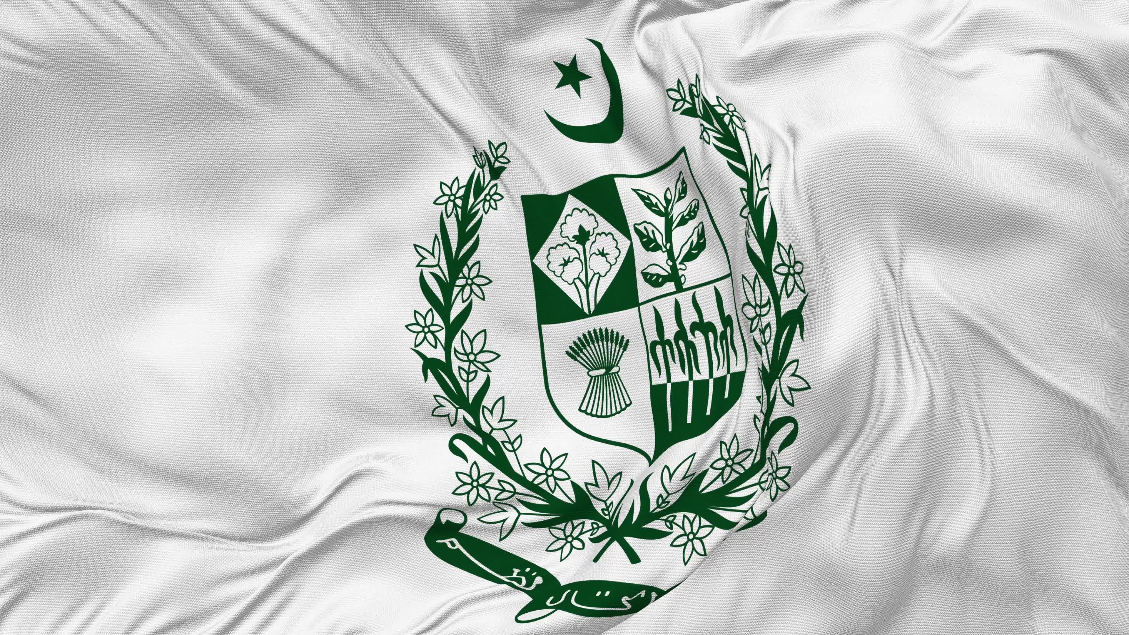 State emblem of pakistan coat of arms flag seamless looping background