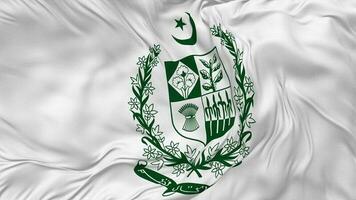 State Emblem of Pakistan, Coat of Arms Flag Seamless Looping Background, Looped Bump Texture Cloth Waving Slow Motion, 3D Rendering video