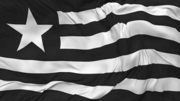 Botafogo de Futebol e Regatas Flag Seamless Looping Background, Looped Bump Texture Cloth Waving Slow Motion, 3D Rendering video