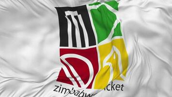 Zimbabwe Cricket, ZC Flag Seamless Looping Background, Looped Bump Texture Cloth Waving Slow Motion, 3D Rendering video