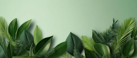 Abstract green background with tropical leaves with copy space. . photo