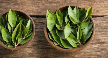 Bay leaf in a beautiful bowl. ai generation photo