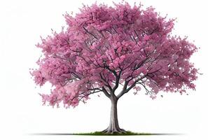 Large pink Cherry Blossom tree on white background. Digital art style. Generative AI photo
