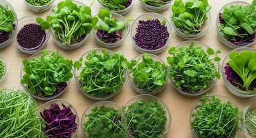 microgreens on glass. ai generation photo