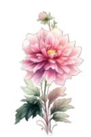 acuarela floral ramo de flores ilustración conjunto sonrojo rosado azul amarillo flor verde hoja hojas ramas flores ai generativo png