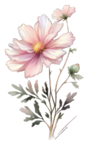 aguarela floral ramalhete ilustração conjunto corar Rosa azul amarelo flor verde folha folhas galhos flores ai generativo png
