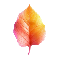 leaf in 3D style trending color palette with png