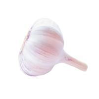 Knoblauch roh isoliert auf transparent Hintergrund. Lager Foto png