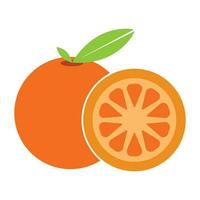 citrus fruit icon vector